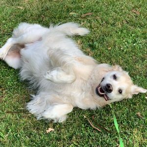 Meet your Posher, Karen